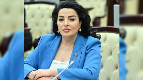 Deputat “Sabahın alimləri”ndən yazdı