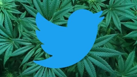 “Twitter” marixuananın reklamına icazə verdi