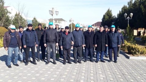 Goranboyda ağacəkmə aksiyası keçirilib