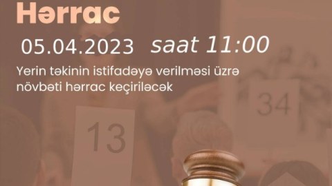 Yeddi faydalı qazıntı yatağı hərraca çıxarılır