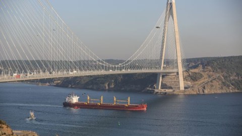Ukrayna taxıl sazişinin bir il uzadılmasını istəyir