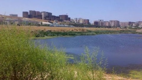 “Qanlı Göl” ətrafında yaşayış kompleksinin layihəsi reallaşır