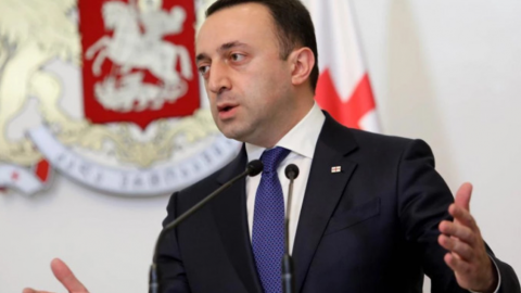 Ərdoğan müdrik və güclü liderdir - Qaribaşvili