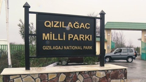 “Qızılağac”a yeni direktor təyin edildi - FOTO