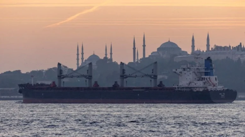 Ukrayna BMT və Türkiyəni taxıl sazişini uzatmağa ÇAĞIRDI