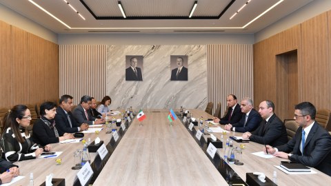 Nazirlikdə meksikalı deputatlarla görüş olub
