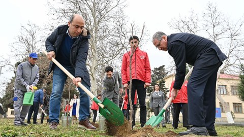 Nazirlər ağac əkdilər - FOTO