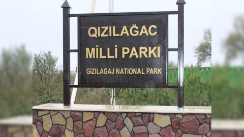 Milli parkda brakonyerlərin qayıqları aşkarlandı