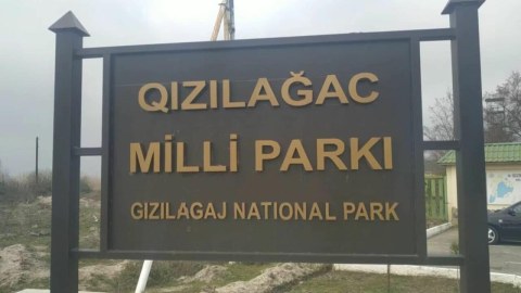 Qızılağacda balıq ovlayan şəxs tutuldu