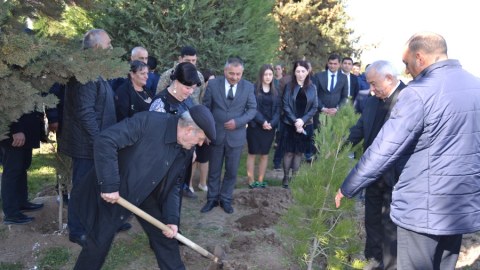 Füzulidə ağacəkmə aksiyası keçirildi
