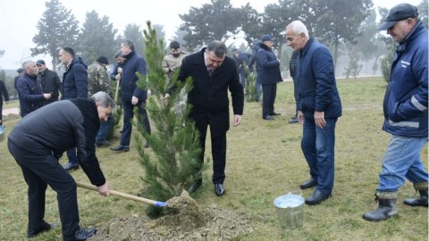 Növbəti ağacəkmə aksiyası keçirildi