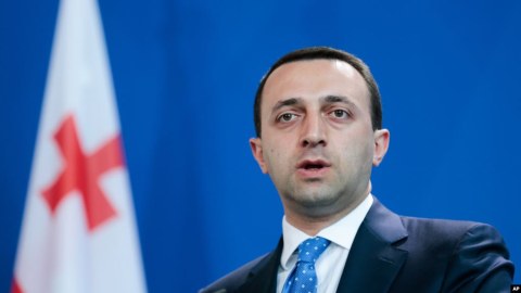 Saakaşvili sabitliyi pozmaq üçün göndərilib - Baş nazir