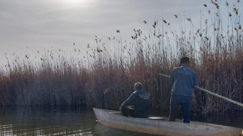 Milli Parkda mühafizə rejimi pozulub