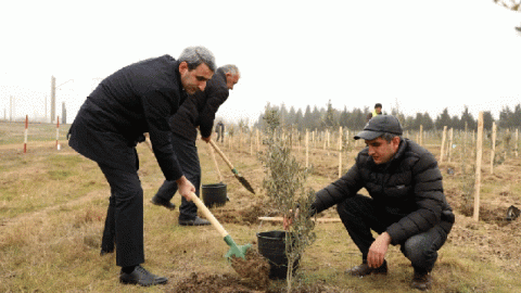 “Azərbaycan Dəmir Yolları’’ ağacəkmə aksiyası keçirdi - FOTOLAR