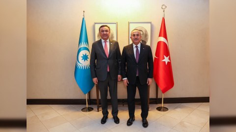 Çavuşoğlu TDT Baş katibi ilə görüşdü