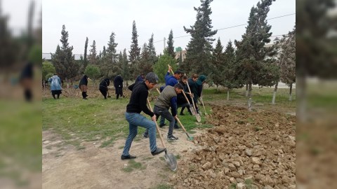 Hacıqabulda iməcilik keçirilib