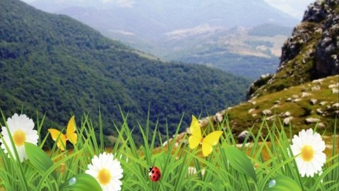 Şənbə gününün havası - Yağmursuz, 23 dərəcə isti...