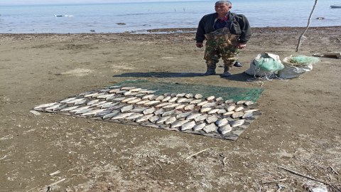 Elektriklə balıq ovlayanlar saxlanıldı - FOTO