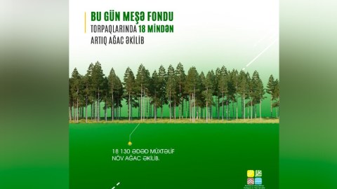 Bu gün 18 mindən çox ağac əkilib