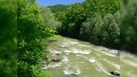 Yağış çayların suyunu artırdı