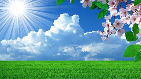Temperatur yenidən yüksəldi - Günün havası