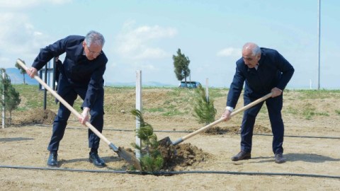 UNEC ağacəkmə aksiyasına qoşuldu - FOTOLAR