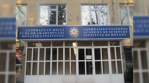 Botanika institutu söküləcək? - Rəsmi açıqlama