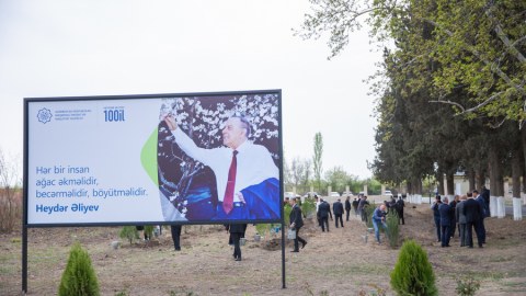 Nazirlik ağacəkmə aksiyası keçirdi - FOTO