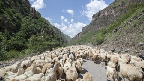 Laçın və Kəlbəcər yaylaqlarına köç etmək istəyənlərin nəzərinə