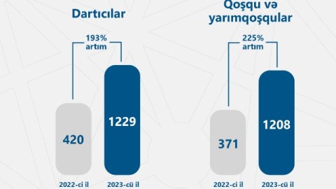 Azərbaycana idxal olunan TIR və qoşquların sayı kəskin artıb