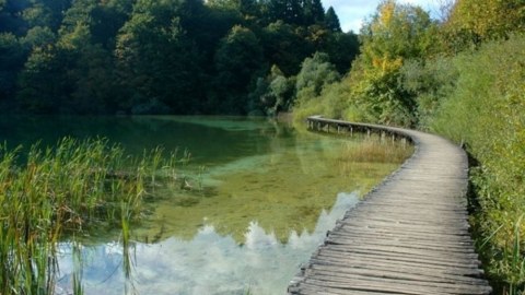 Milli parklarda gözlənilən hava proqnozu