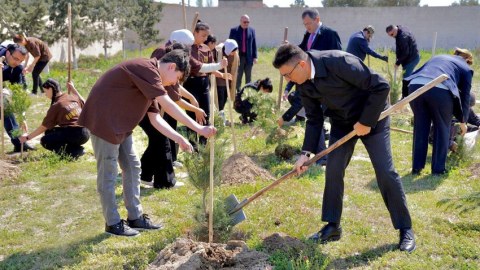 Qala Qoruğunda ağacəkmə aksiyası keçirilib - FOTOLAR