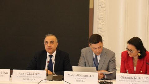 Azay Quliyev ATƏT PA-da sərhəd məntəqəsindən danışdı 