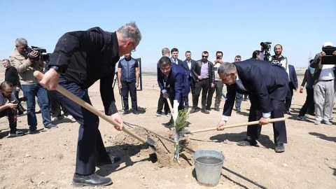 Ağacəkmə aksiyasına media nümayəndələri də qoşuldu - FOTOLAR