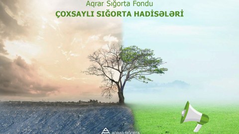 Təsərrüfatlara dəymiş zərər HESABLANIR