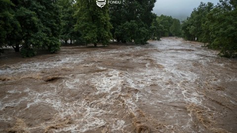 Fermerler ziyana görə Aqrar Sığorta Fonduna müraciət etdilər