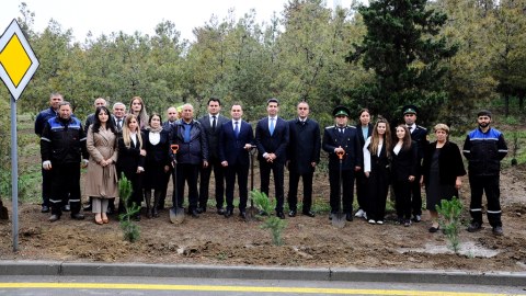 “Heydər Əliyev İli” çərçivəsində ağacəkmə aksiyası keçirilib