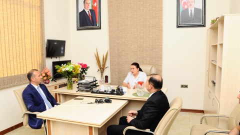 Naftalanda sahibkarlarla dövlət qurumları arasında fərdi görüşlər keçirilib - FOTOLAR