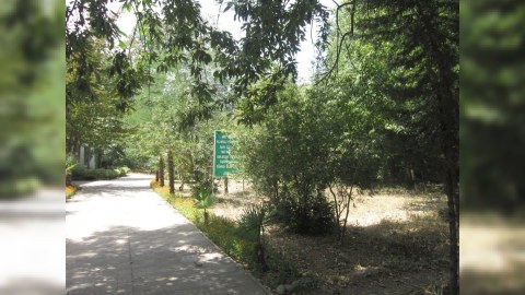 Hirkan Milli Parkında aparılan monitorinqin nəticələri