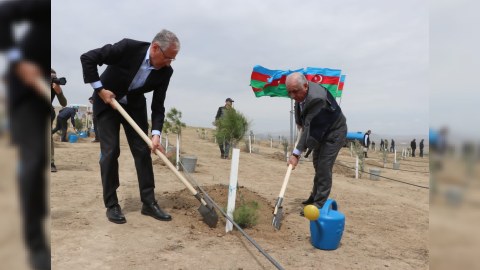 Hökumət üzvləri ağacəkmə aksiyasında - FOTOLAR