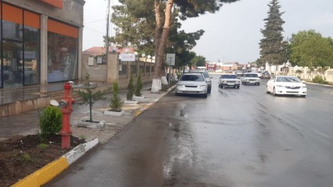 Nazirlikdən Cəlilabadda ağacların kəsilməsinə REAKSİYA