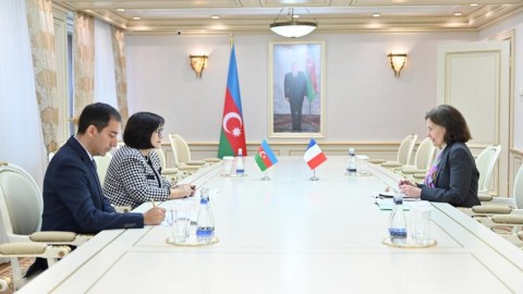 Sahibə Qafarova Fransanın qərəzli qətnamələrini pislədi