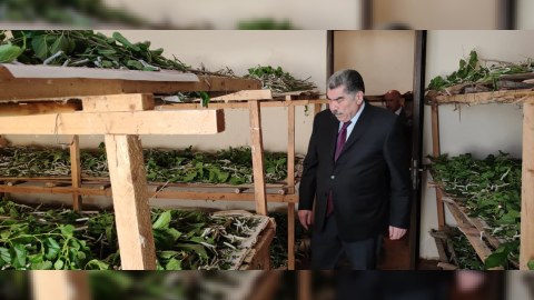 Hacıqabulda baramaçılığın inkişafı nəzarətdə saxlanılır - FOTOLAR