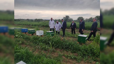 Goranboyda aqrar sahə inkişaf etdirilir - FOTOLAR