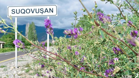 Suqovuşanın yaz mənzərəsi - FOTOLAR