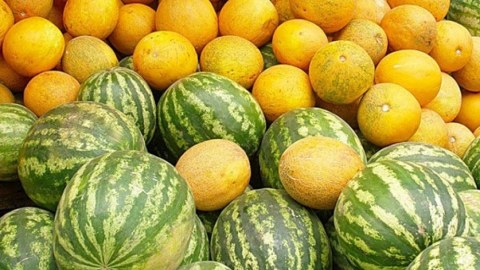Vaxtında yetişən qarpız-yemiş orqanizm üçün faydalıdır