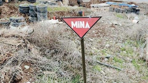Diaspordan mina problemi ilə bağlı müraciət 