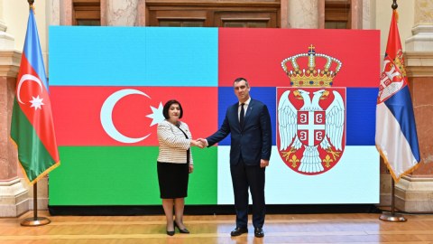 Sahibə Qafarova serbiyalı həmkarı ilə görüşdü 
