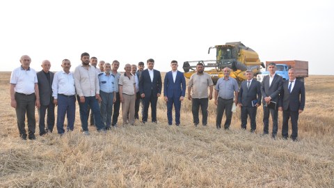 Neftçalanın icra başçısı taxıl biçini sahəsi ilə tanış olub