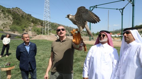 Şahinlər təbiətə, balıqlar Həkəri çayına buraxıldı - FOTOLAR